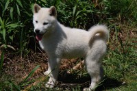 /album/kimi-a-yuki/dsc-0066-jpg2/