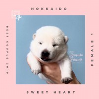 /album/moya1/a77091686-2035466689823117-7238619781962661888-n-jpg1/