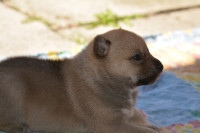 /album/kluci/dsc-0014-jpg5/