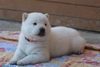 /album/fotogalerie-home/dsc-0017-jpg10/