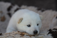 /album/fotogalerie-home/dsc-0037-jpg2/