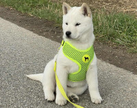 /album/emi-yasu2/4-o-jpg/