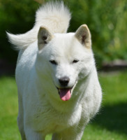 /album/moya1/dsc-0028-o-jpg1/