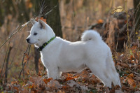 /album/fotogalerie-home/581992779-2479523909095997-6713908838755010953-n-jpg/