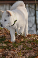 /album/emi1/579653719-2479524692429252-6537049800724881565-n-jpg1/