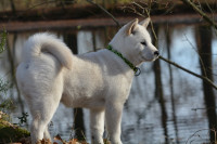 /album/emi1/580744811-2479524405762614-6818813603744369590-n-jpg1/