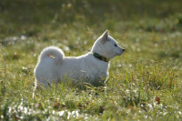 /album/emi1/581839481-2479522459096142-3840575693919345594-n-jpg1/