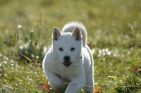 /album/emi1/583343124-2479522695762785-4143461297806233258-n-jpg/